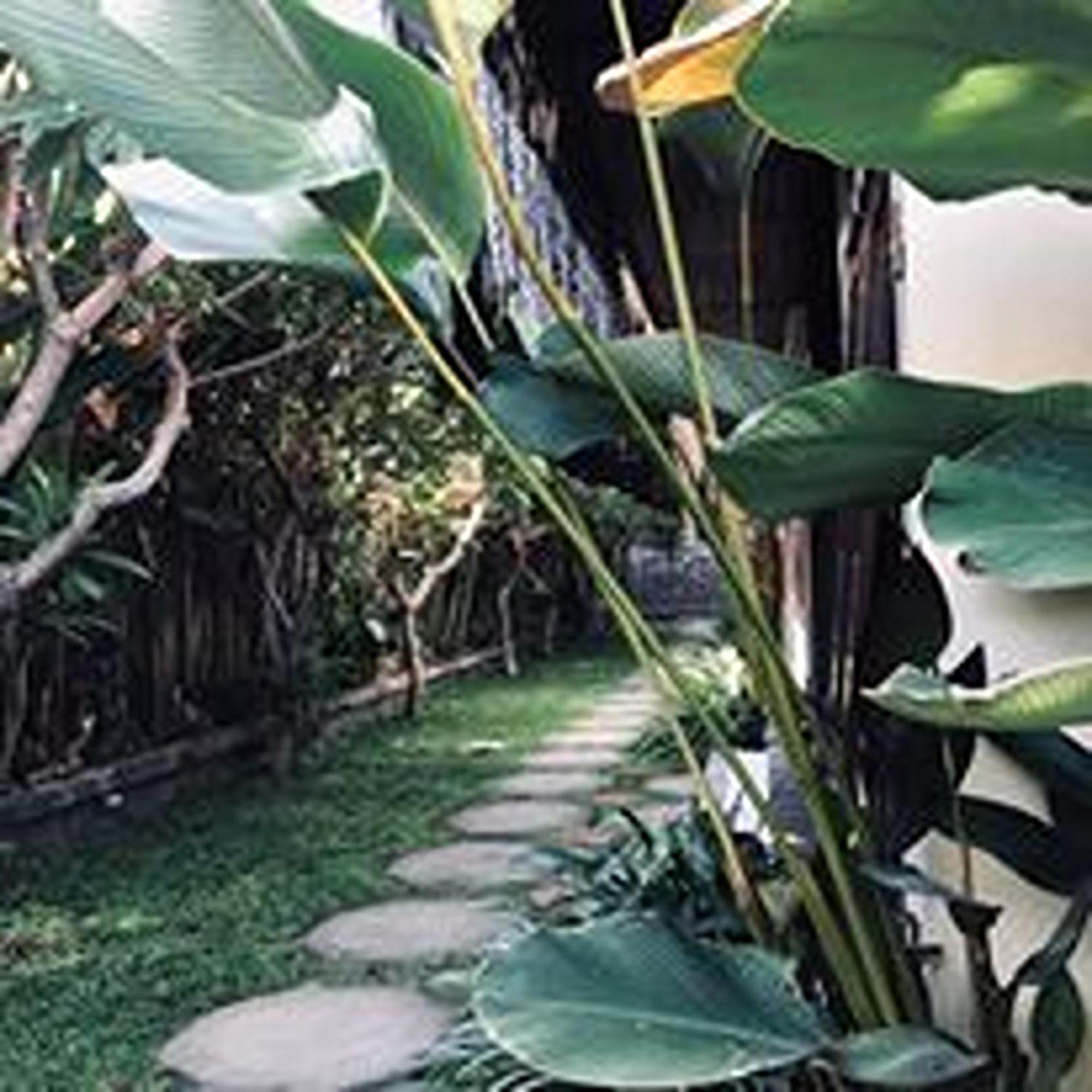 Mai Guest House Sanur Exterior photo